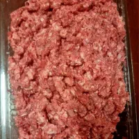 غذای حمایتی سگ و گربه