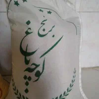 سرمایه گذار برنج