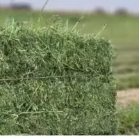 فروش پرس یونجه خشک