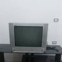 تلویزیون