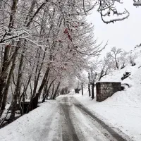 باغ.زمین کشاورزی