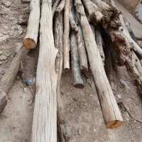تیر چوب(فروش فوری)