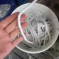 سرب پرده