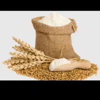 فروش ارد ازاد نول،فقط نول