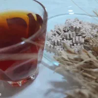 قند رژیمی و گیاهی بدون کالری قندیل