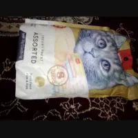 غذای گربه