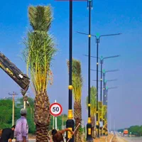 ارسال پالم تحویل درب پروژه فضای سبز باغ