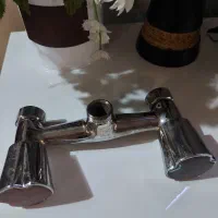 شیر برنجی قهرمان سرویس بهداشتی