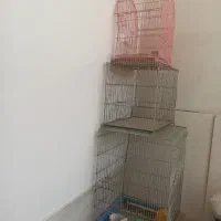 قفس پرنده