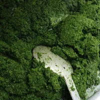 سبزی خورشتی وسبزی ماهی و قلیه وآشی