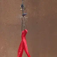 تاب شورتی  وکالسکه
