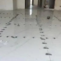 کاشی وسرامیک وسنک کاری