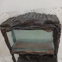 اکواریوم