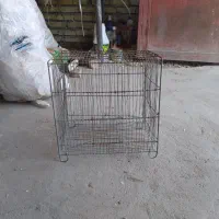 قفس پرنده