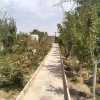 فروش-باغ