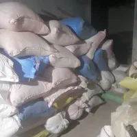 پرس گندم