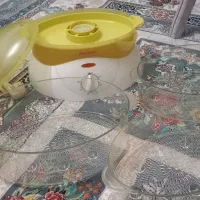 بخار پز سانی