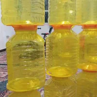 دبه ترشی|ظروف نگهدارنده، پلاستیکی، یکبارمصرف|یاسوج, |دیوار