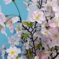 گل ساقه بلند و پر