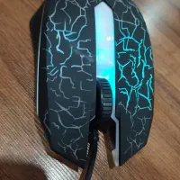 موس|قطعات و لوازم جانبی رایانه|گنبد کاووس, |دیوار