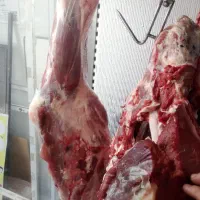 گوشت گوساله نر برای حلیم
