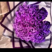 گل ربانی بنفش ۴۰شاخه