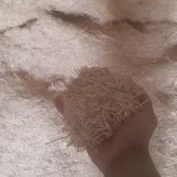 کاه و یونجه