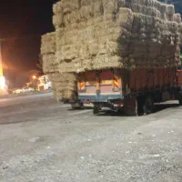 پرس و کاه گندم