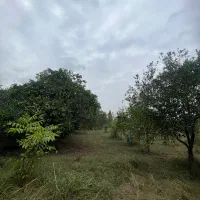 فروش-زمین-1830-متری-در-جاده-نظامی