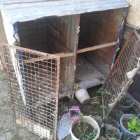 قفس مرغ و کبوتر