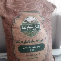 برنج پاکستانی مزرعه 2400