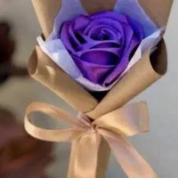 گل روبانی