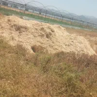 کاه برای فروش