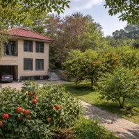 ویلایی در قلب باغات  قصردشت