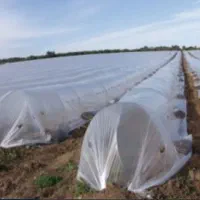 یک طاقه پلاستیک سر خیار350000