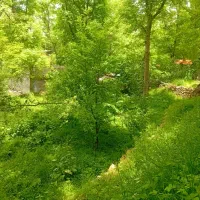فرصت-طلایی-زمین-هکتاری-به-اضافه-مجوز-جایگاه