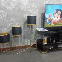 جاگلدونی شیک وحدنو