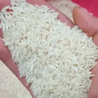 برنج هاشمی.چای قلم