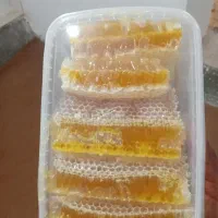 عسل ارگانیک