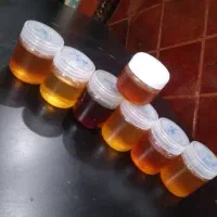 پخش انواع عسل طبیعی عمده
