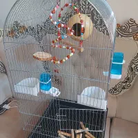 قفس پرنده