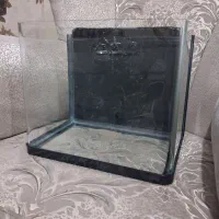 آکواریوم شرکتی