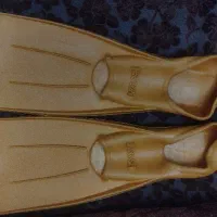 فین شنا