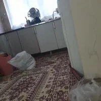 همخانه