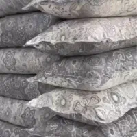لحافدوزی بیرانوند