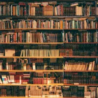 تدریس خصوصی و گروهی زبان