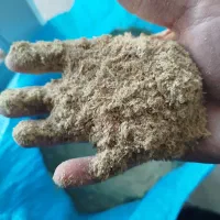 سبوس