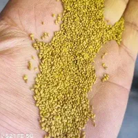 بذریونجه درجه یک