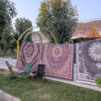 فرشینه|فرش|سرپل ذهاب, |دیوار