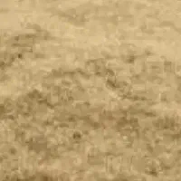 کاه  گندم. دیم درگز